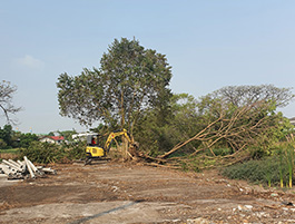 Charoen Backhoe Image