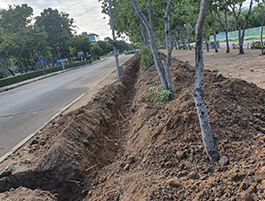 Charoen Backhoe Image